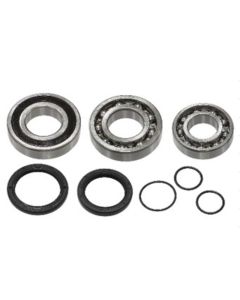 Sno-X Chain case bearing kit - 83-03205