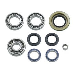 Bronco ATV Differential Bearing & Seal Kit - 78-03A21