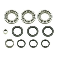 Bronco ATV Differential Bearing & Seal Kit - 78-03A01