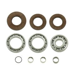 Bronco ATV Differential Bearing & Seal Kit - 78-03A35