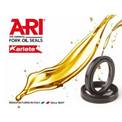 ARI Oil seal, 35 x 48 x 11 (22-A003)